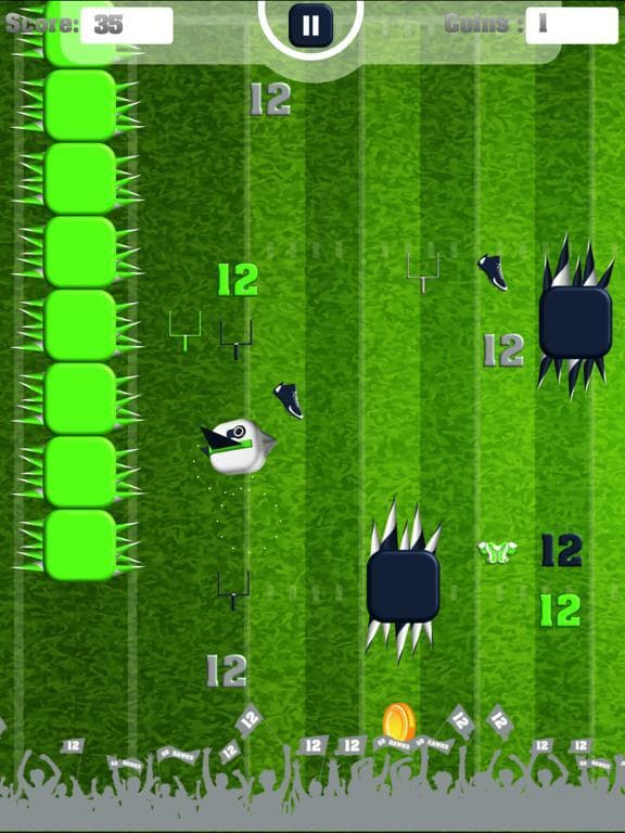 12 The Seahawk
