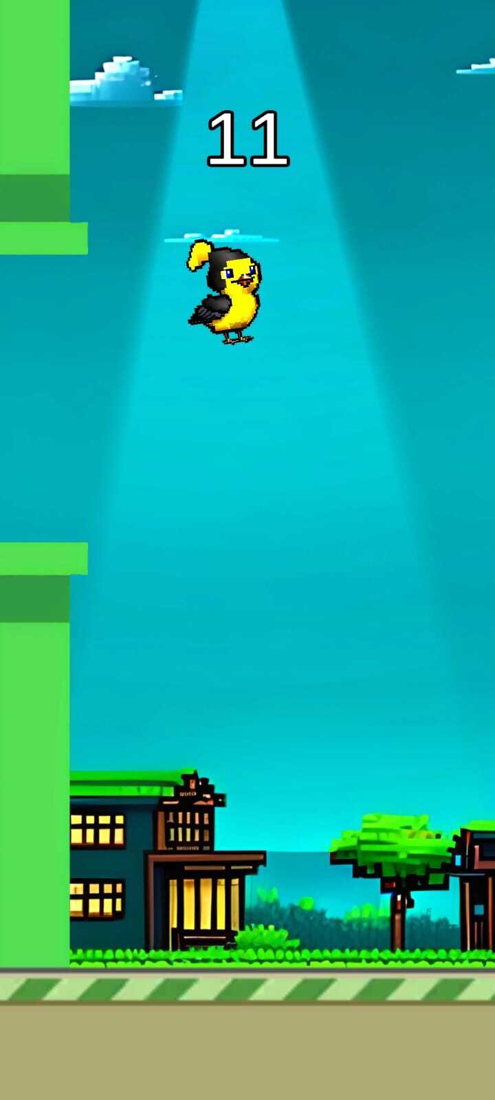 Flappy AI (Matan Naveh)