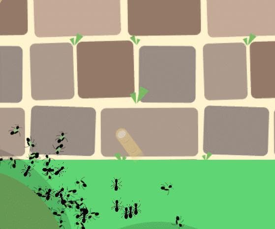 I hate ants.
