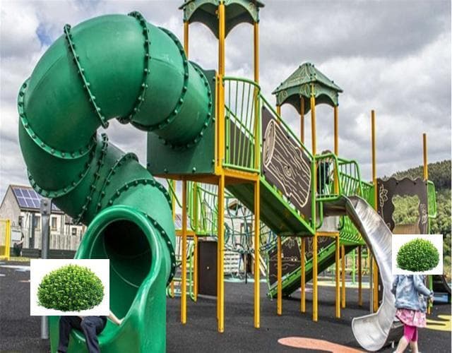 Bush playground