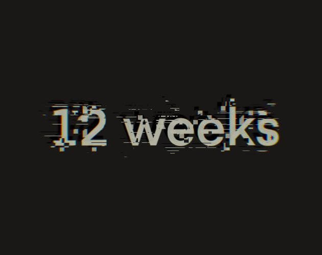 12 weeks