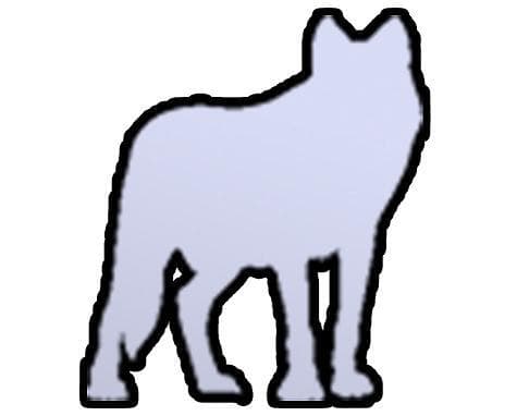 Wolf And Circus