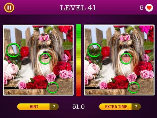 5 Differences ~ Spot the Hidden Objects!