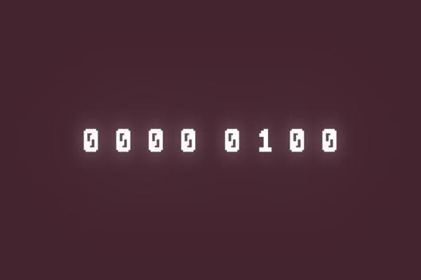0000 0100