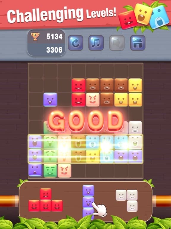 BT Block Puzzle - Brain Game