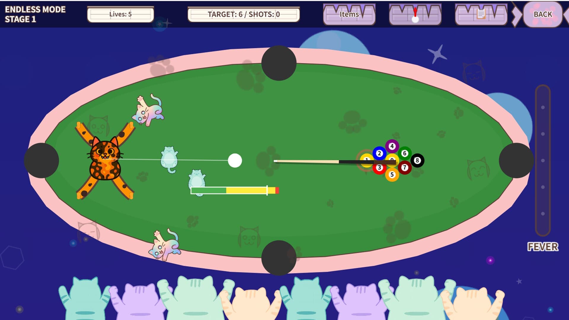 Chaos Cat Pool